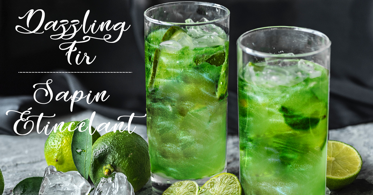 Spirdust ® – Image 3