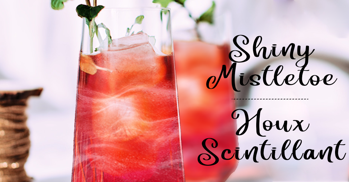 Spirdust ® – Image 2